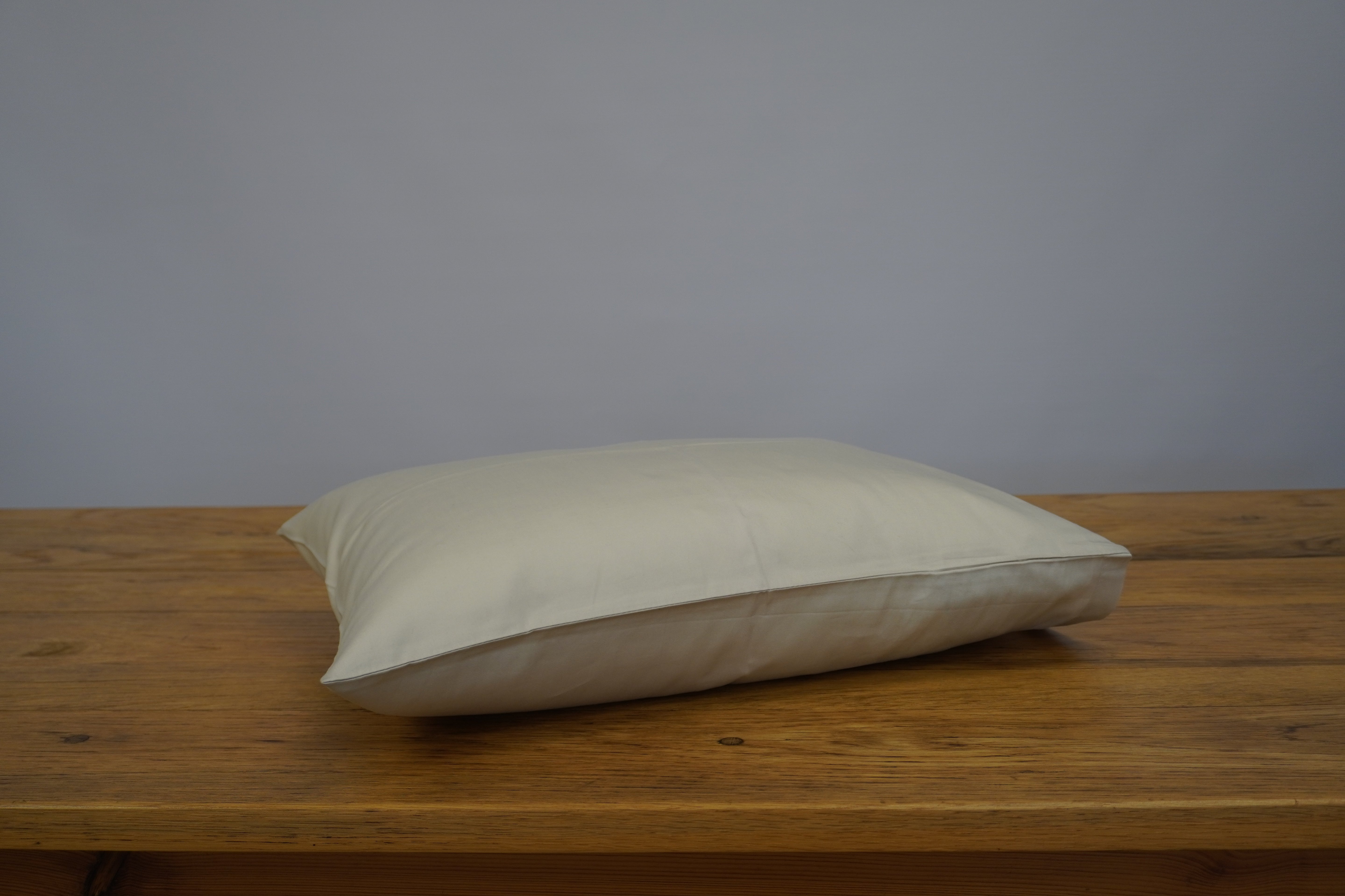 Italian Sateen Housewife Travel Pillows