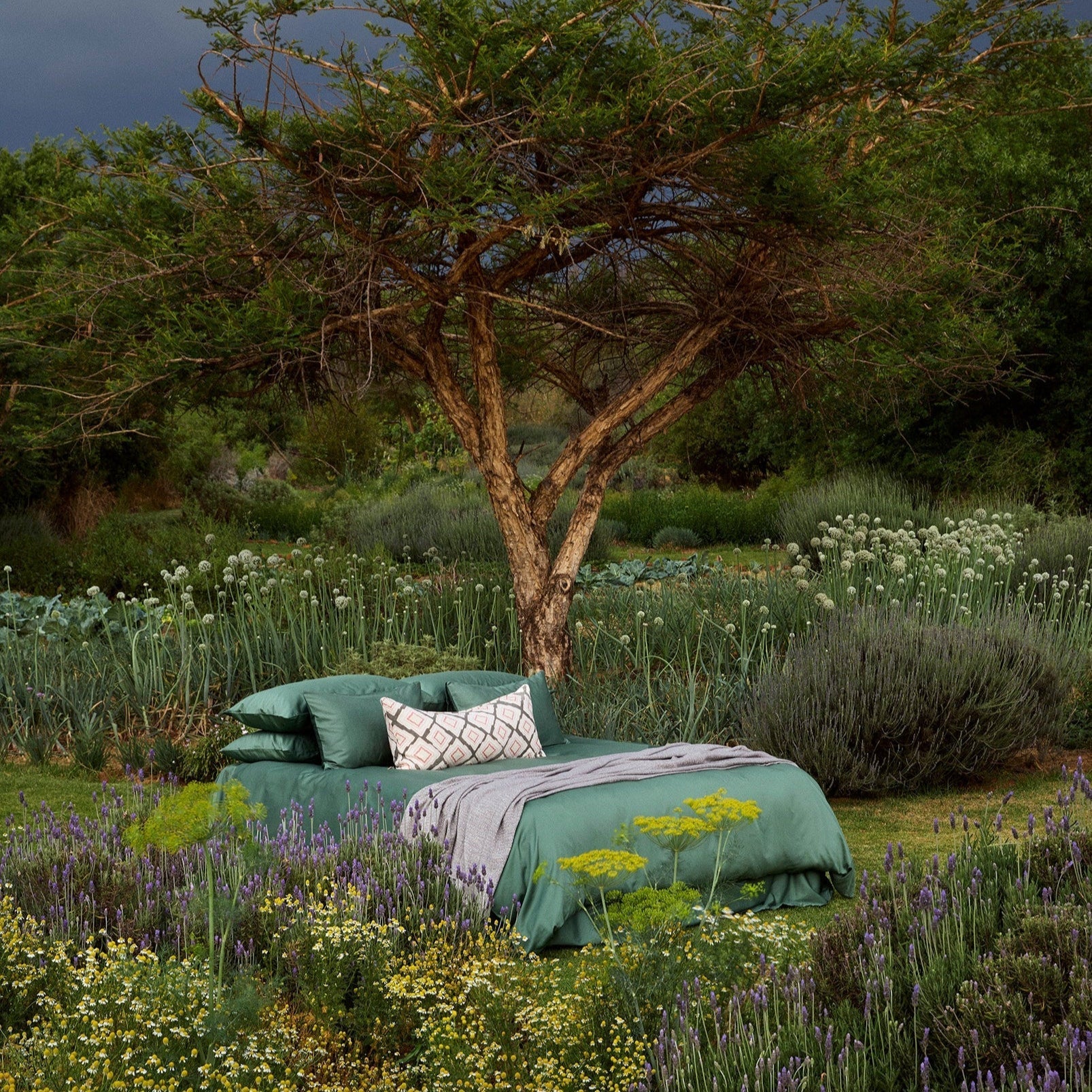 Wellness, sleep, and the new luxury